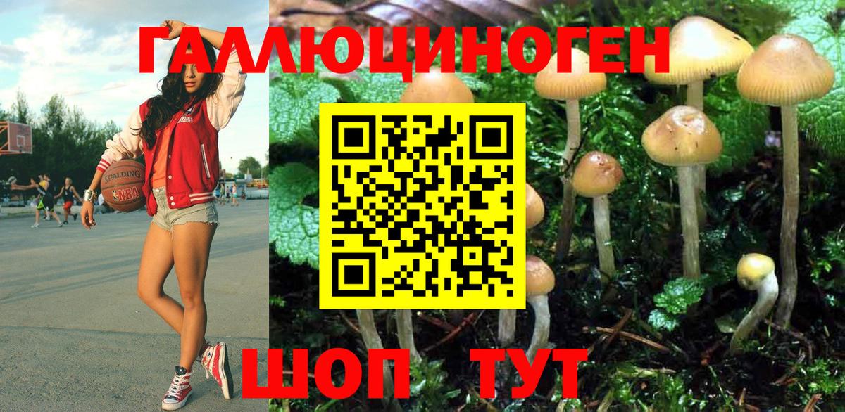 Псилоцибиновые грибы прущие грибы Миллерово