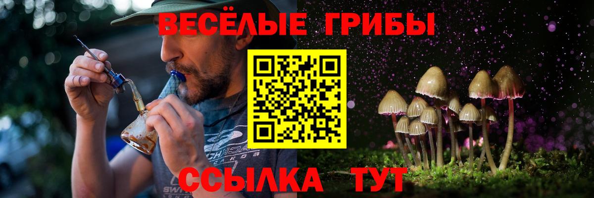 Галлюциногенные грибы прущие грибы  Псилоцибиновые грибы мицелий  Миллерово  Вход с VPN 