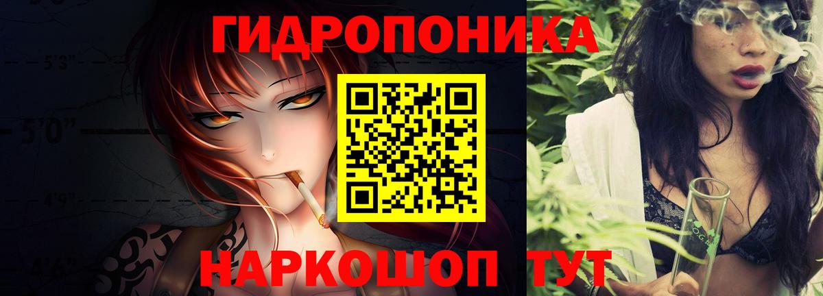 Марихуана сатива Миллерово
